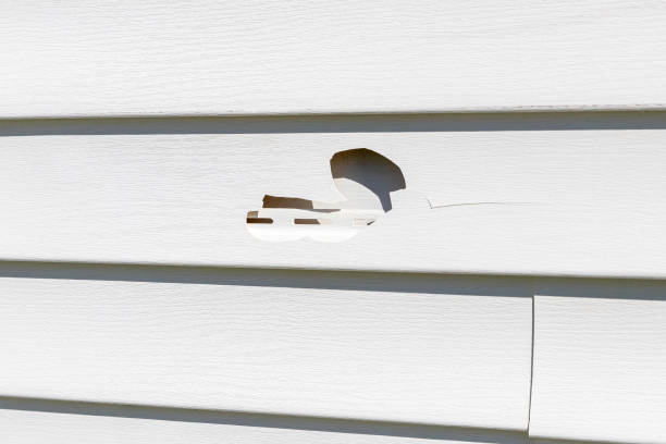 Best Wood Siding Installation  in Thousand Oaks, CA